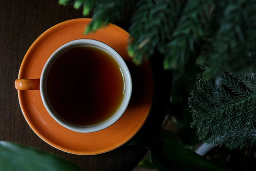 5 Best Moringa Tea in United States as in 2022
