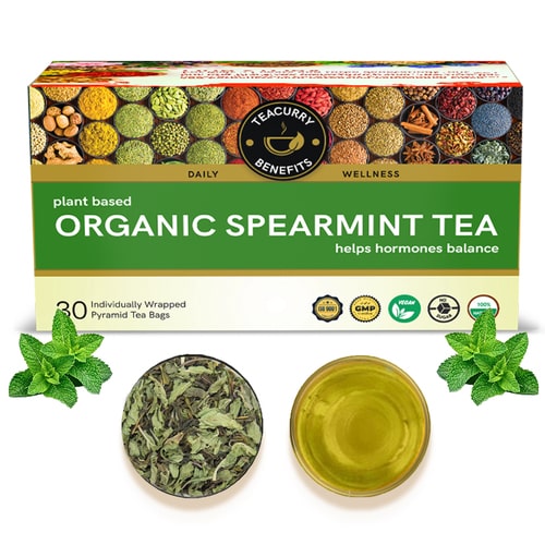 Main Image Of Teacurry Organic Spearmint Tea