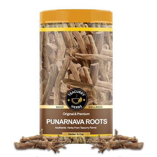 Punarnava Roots (Boerhavia Diffusa/ Sathi Jadi Booti) - Helps To Digestive Health & Sustain Optimal Hemoglobin Levels