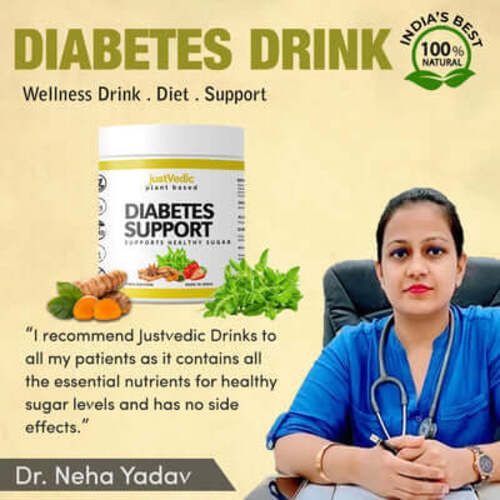 Diabetes Support Drink Mix Recommended by Dr. Neha Yadav - protein drinks for diabetics - balance drink mix - best shakes for diabetics