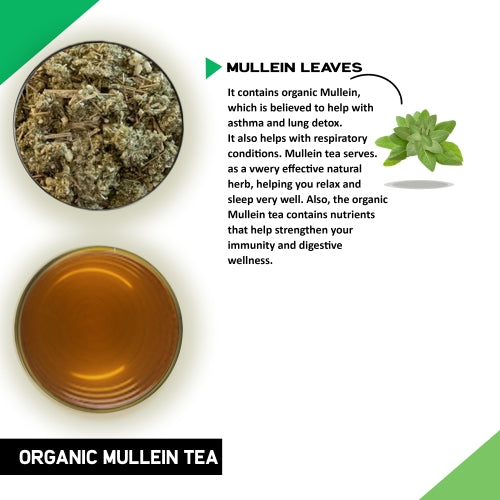 organic mullein tea ingredient - best gordolobo tea - fresh mullein tea