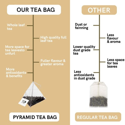 Difference between our nylon tea bags  and regular tea bag