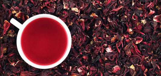 5 Best Hibiscus Teas in United States as in 2022
