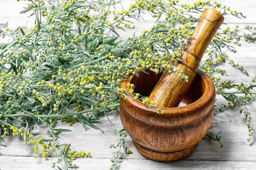 Fennel Tea - Benefits, Uses, and Recipes
