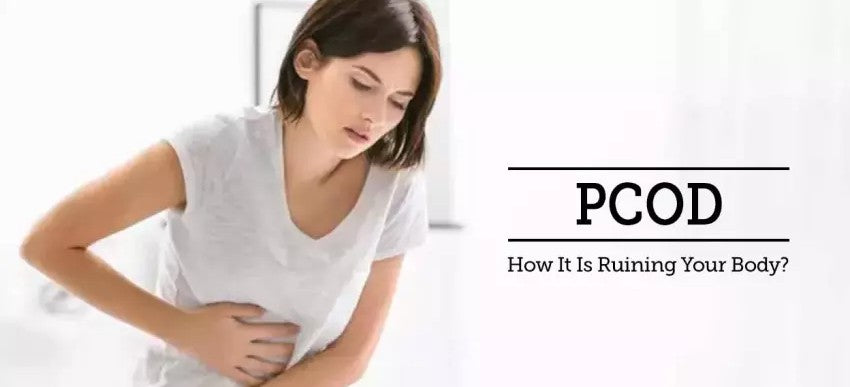 8 Best PCOS PCOD Teas in United States as in 2022