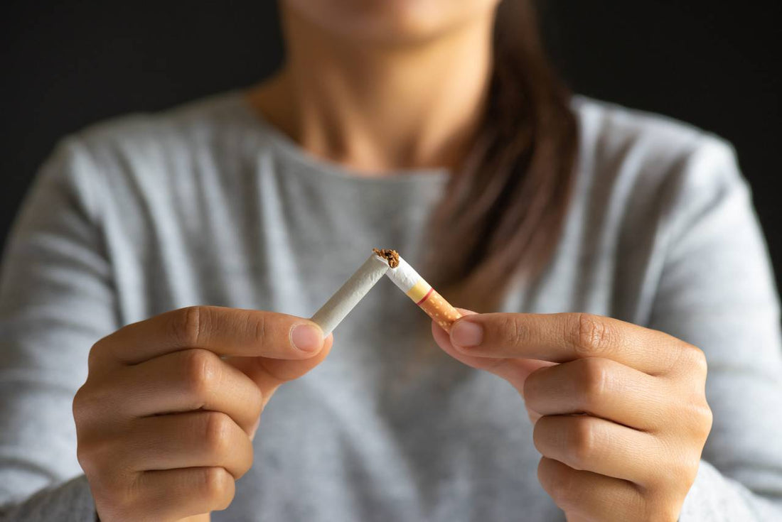 where to buy montego cigarettes online Montego Class A 100s Red Kings Cigarettes 200 ea where to buy montego cigarettes online Montego Class A 100s Red Kings Cigarettes 200 ea