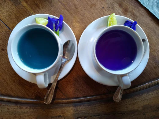 5 Best Blue Butterfly Teas in United States as in 2022