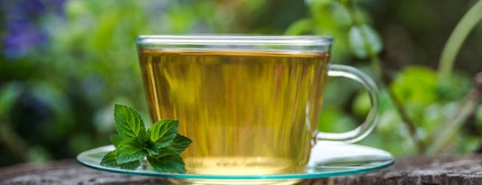 Top 6 Organic Spearmint Teas in US