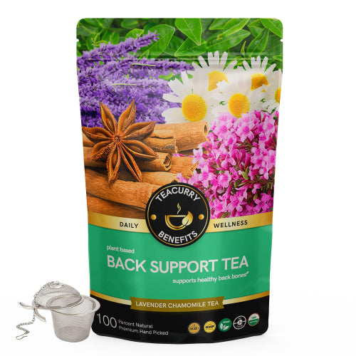 Teacurry Back Support Pouch with Infuser