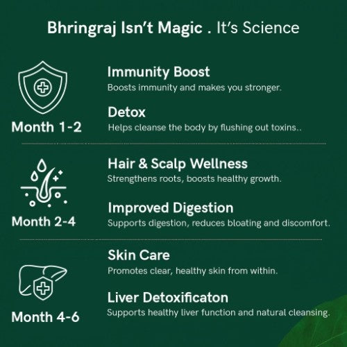 Teacurry Organic Himalayan Bhringraj Leaves Benefits