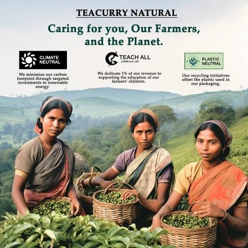 Teacurry Natural  