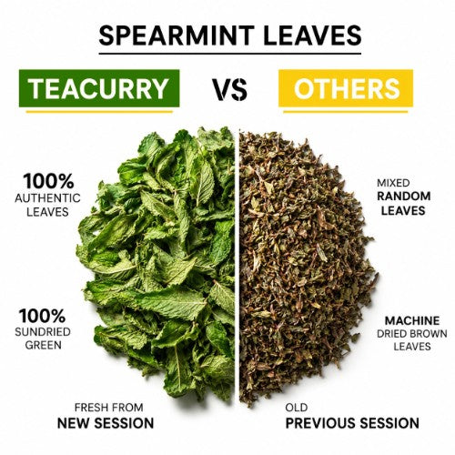 Teacurry Spearmint Tea Difference