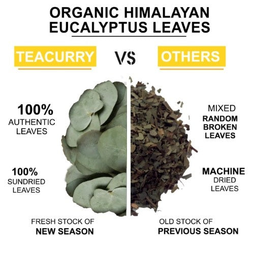 Teacurry Organic Himalayan Eucalyptus Leaves Difference 
