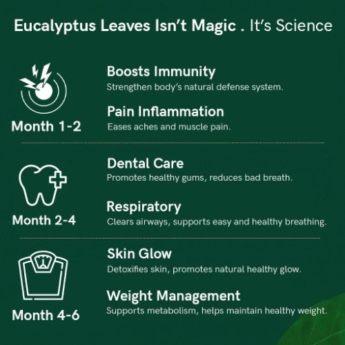 Teacurry Organic Himalayan Eucalyptus Leaves Benefits 