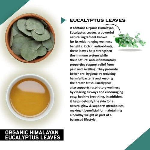 Teacurry Organic Himalayan Eucalyptus Leaves Ingredients 