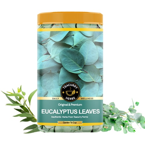 Eucalyptus Leaves - Help In Coughing, Common Colds, Elevated Body Temperatures & The Recovery Of Wounds