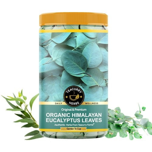 Teacurry Organic Himalayan Eucalyptus Leaves Main Image 