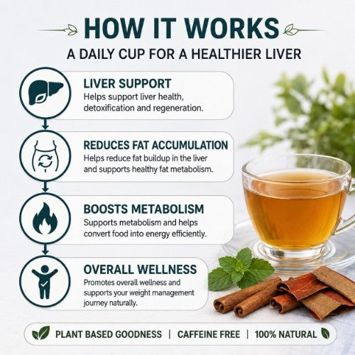 How Teacurry Fatty Liver Tea Actually it Work