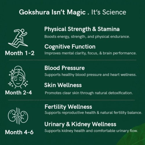 Organic Himalayan Gokshura Benefits