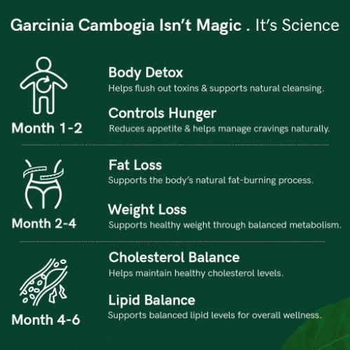 Organic Himalayan Garcinia Cambogia Fruit Benefits 