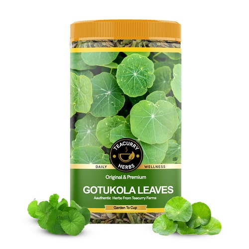 Gotu Kola Leaves - Help In Enhanced Memory, Alleviated Asthma & Reduced Diarrhea