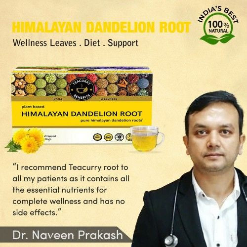 Teacurry Himalayan Dandelion Root Tea Doctor Recommends 