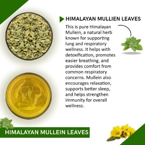 Teacurry Himalayan Mullein Leaves Tea Ingredients
