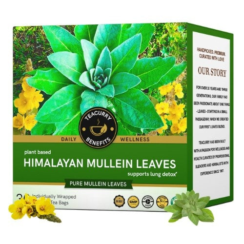 Himalayan Mullein Leaf Tea Main Image