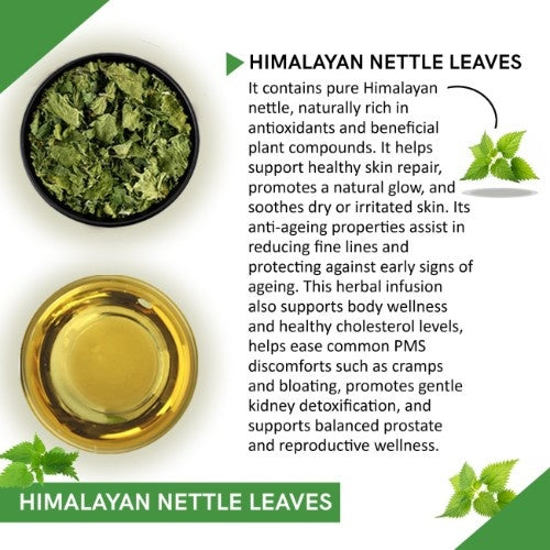 Teacurry Himalayan Nettle Leaves Tea Ingredients