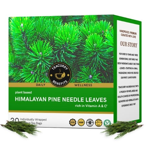 Teacurry Himalayan Pine Needle Tea Main Image
