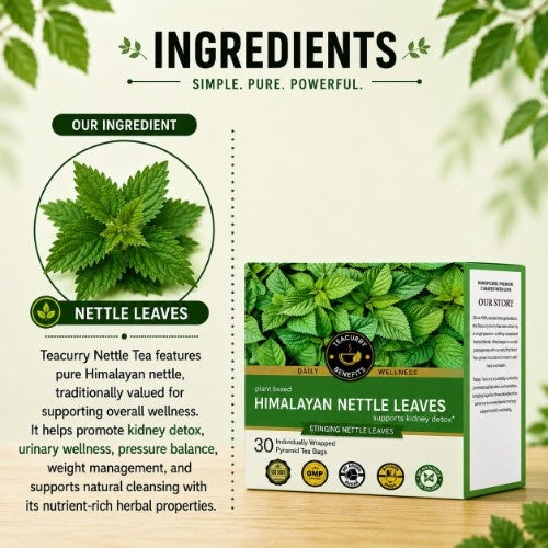 Ingredient of Teacurry HImalayan Stinging Nettle Tea
