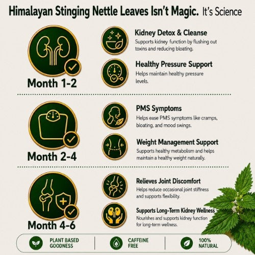 Teacurry HImalayan Stinging Nettle Tea isn't Magic it's Science 