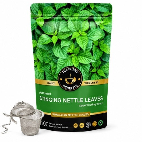 Teacurry HImalayan Stinging Nettle Tea Pouch with Infuser 