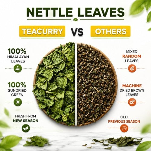 Teacurry HImalayan Stinging Nettle Tea vs Others 