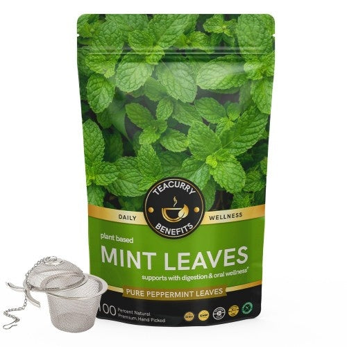 Teacurry Mint Leaves Tea Pouch 