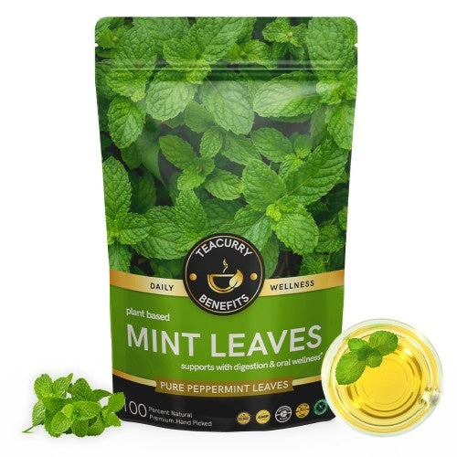 Teacurry Mint Leaves Tea Pouch with Infuser 