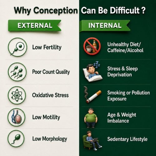 Internal and External Cause of Low Fertility Explain by Teacurry 