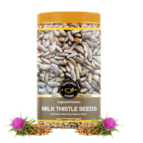 Milk Thistle Seeds - Helps In Gastrointestinal Well-being, Lactation Support & Skin Care