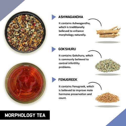 Teacurry Morphology Tea Ingredients