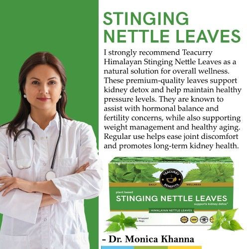 Teacurry Stinging Nettle Tea Doctor Recommends 