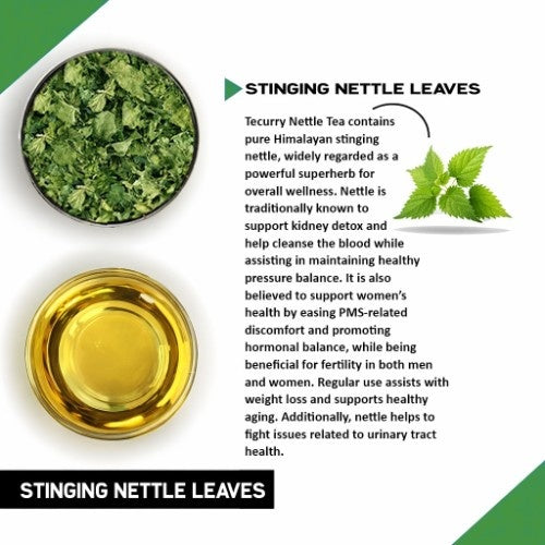 Teacurry Stinging Nettle Tea Ingredients  