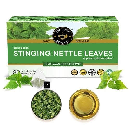 Teacurry Stinging Nettle Tea Box