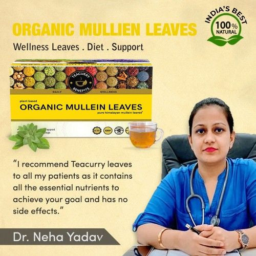 Organic Mullein Tea - Help In Respiratory Purification & Addressing Skin Issues