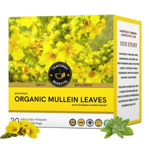 Organic Mullein Tea Main Image