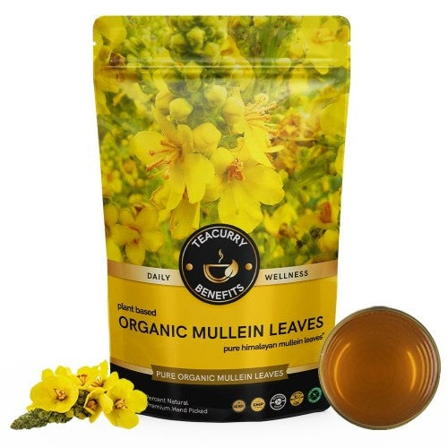 Organic Mullein Tea Pouch 