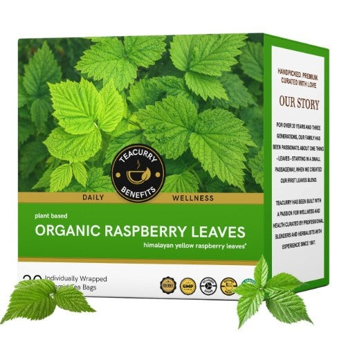 Organic Raspberry Tea Main Image 