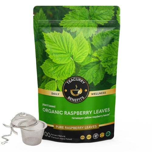 Organic Raspberry Tea Pouch + Infuser 