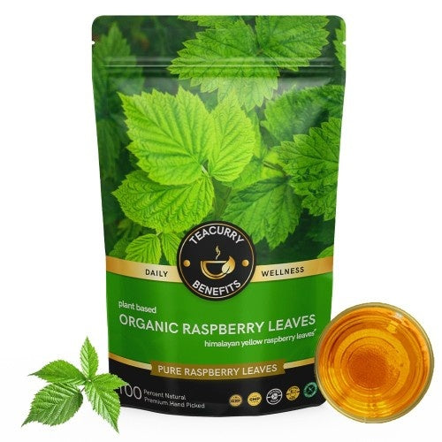 Organic Raspberry Tea Pouch 