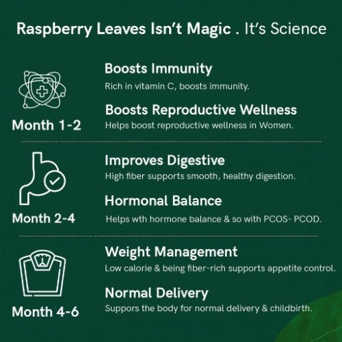 Organic Raspberry Tea Benefits  