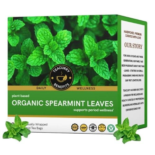 Teacurry Organic Spearmint Tea 3D Box